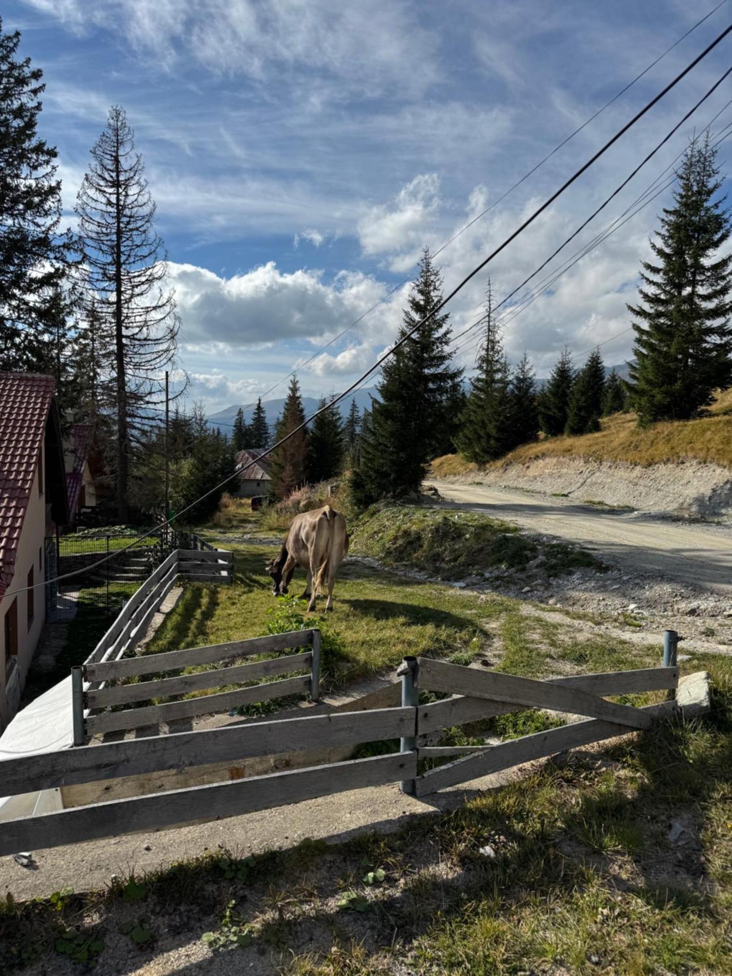 Casa Hai La Rânca Kültér fotó